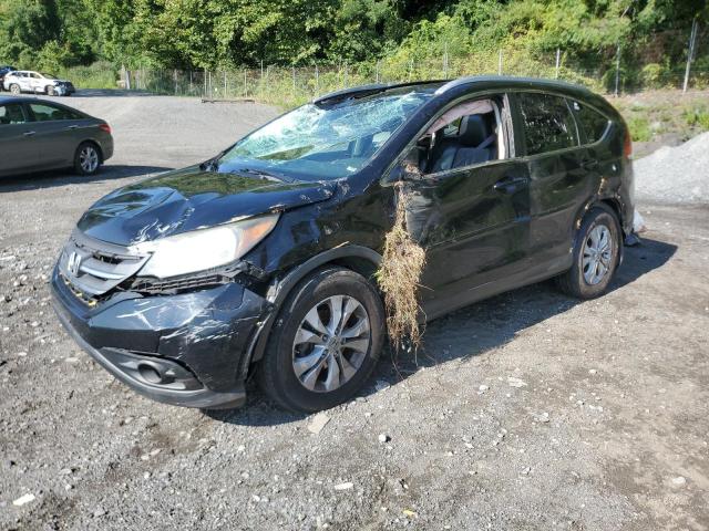 Photo 1 from auction – 2012 HONDA CR-V EXL with VIN 2HKRM4H79CH607803