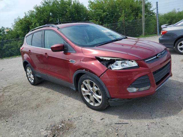 Photo 4 from auction – 2013 FORD ESCAPE SE with VIN 1FMCU0GXXDUC51705