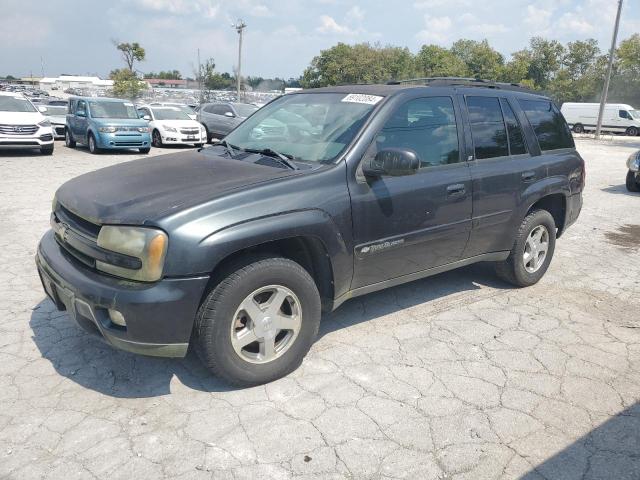 CHEVROLET TRAILBLAZE 2004 with VIN 1GNDT13S642210650 - Photo from auction