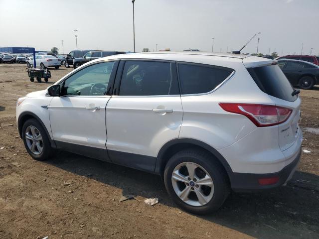Photo 2 from auction – 2013 FORD ESCAPE SE with VIN 1FMCU9GX6DUB41898