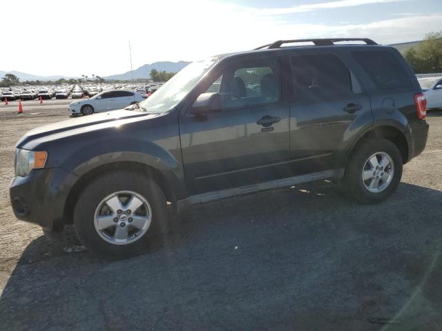 FORD ESCAPE XLT 2009 with VIN 1FMCU03G79KA36842 - Photo from auction