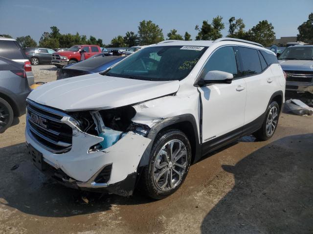 GMC TERRAIN SL 2020 with VIN 3GKALPEV6LL279636 - Photo from auction