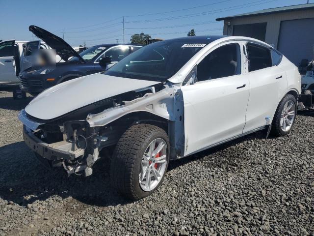 TESLA MODEL Y 2023 with VIN 7SAYGDEE1PF812593 - Photo from auction