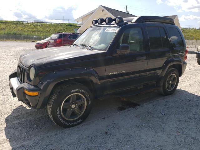 JEEP RENEGADE 2003 with VIN 1J4GL38KX3W677713 - Photo from auction