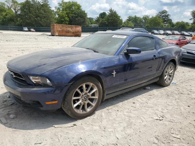 FORD MUSTANG 2010 with VIN 1ZVBP8AN6A5147406 - Photo from auction