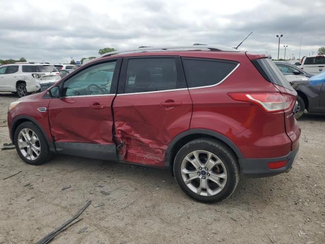Photo 2 from auction – 2014 FORD ESCAPE TIT with VIN 1FMCU0J91EUC99914