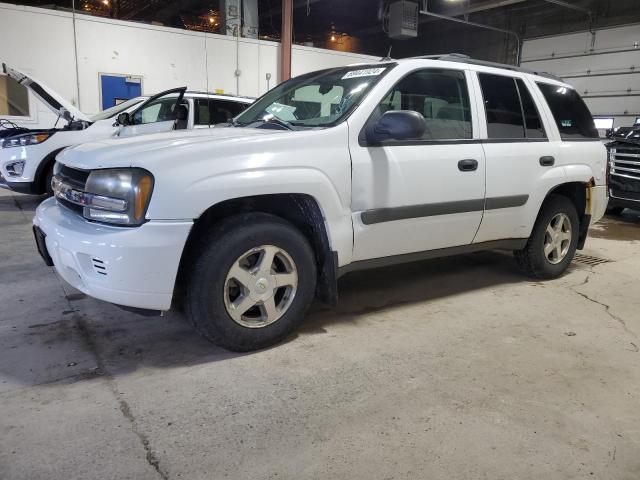 CHEVROLET TRAILBLAZE 2005 with VIN 1GNDT13S252133454 - Photo from auction
