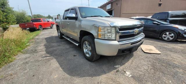 CHEVROLET SILVERADO 2009 with VIN 3GCFK13589G268191 - Photo from auction