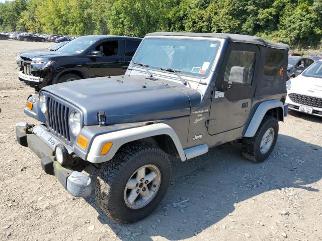 JEEP WRANGLER / 2001 with VIN 1J4FA49S41P352844 - Photo from auction
