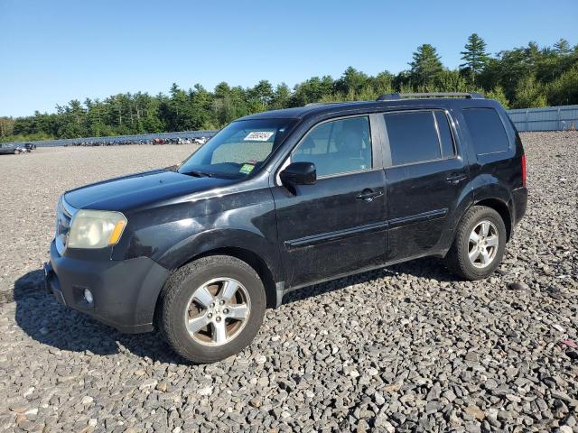 HONDA PILOT EX 2010 with VIN 5FNYF4H45AB036107 - Photo from auction
