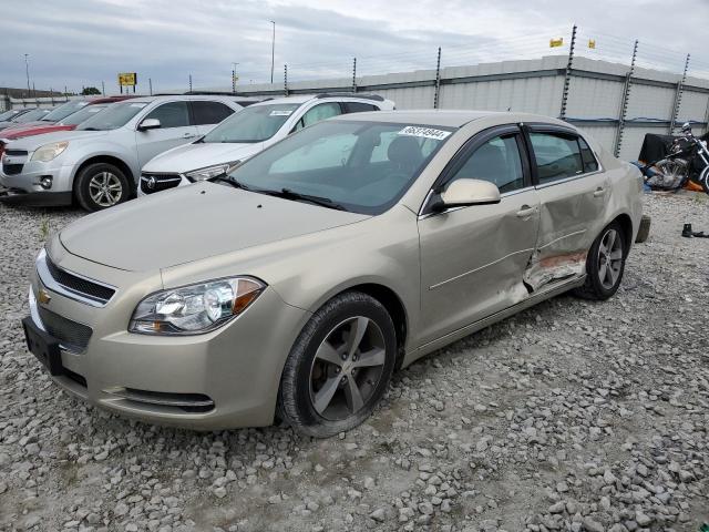 CHEVROLET MALIBU 2LT 2011 with VIN 1G1ZD5EU6BF338564 - Photo from auction