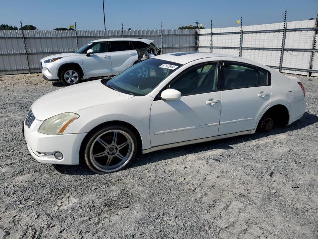 NISSAN MAXIMA SE 2004 с VIN 1N4BA41E64C850023 - Фото с аукциона