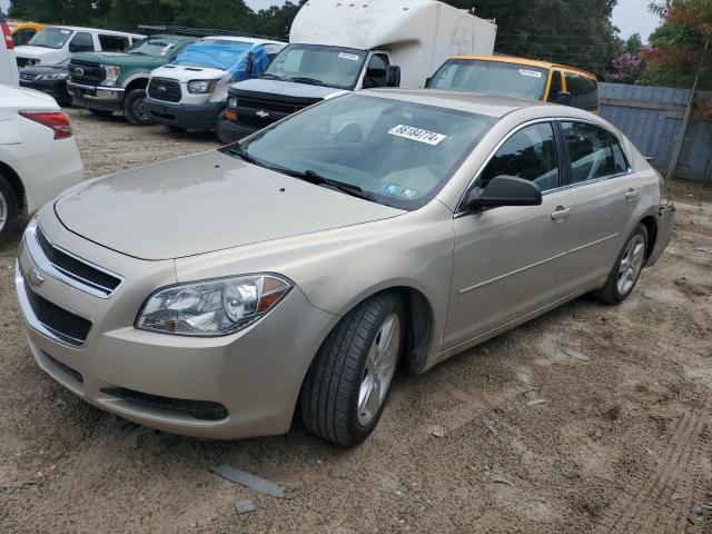 CHEVROLET MALIBU LS 2011 with VIN 1G1ZB5E16BF206660 - Photo from auction