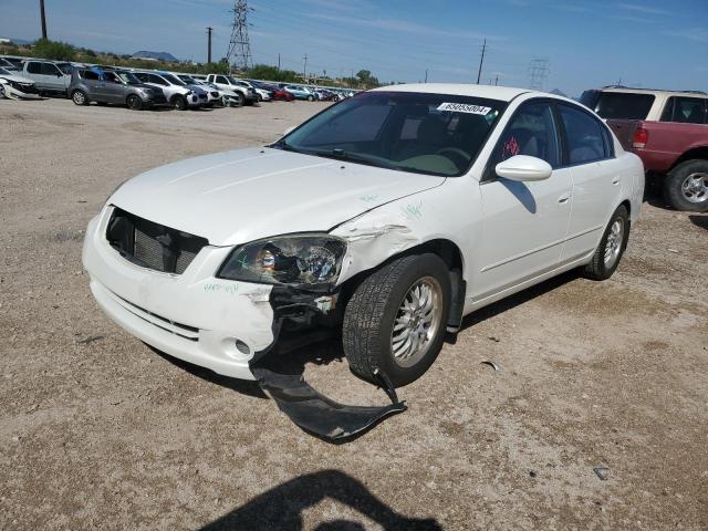 NISSAN ALTIMA S 2006 with VIN 1N4AL11D86C242809 - Photo from auction