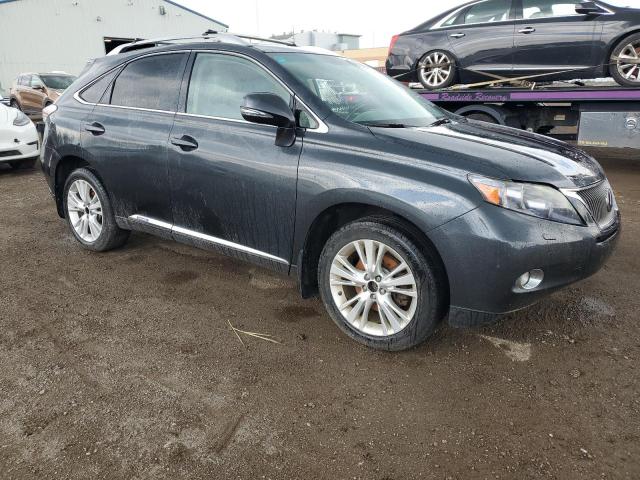 Photo 4 from auction – 2010 LEXUS RX 450 with VIN JTJBC1BA4A2020346