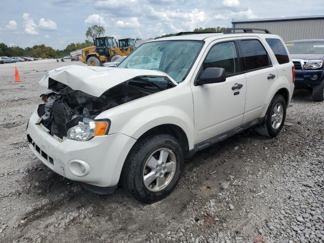 FORD ESCAPE XLT 2010 with VIN 1FMCU0DG6AKB42072 - Photo from auction