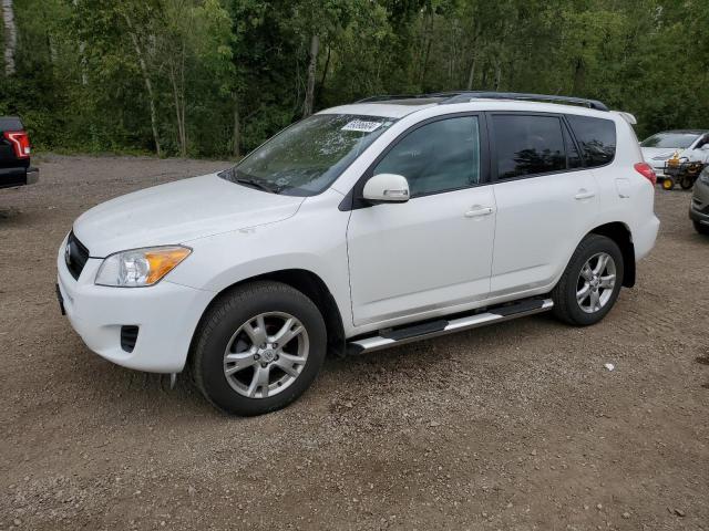TOYOTA RAV4 2011 with VIN 2T3BF4DV8BW120244 - Photo from auction