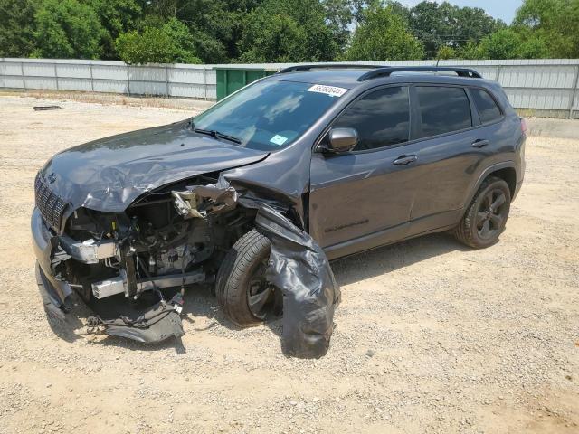 JEEP CHEROKEE L 2019 with VIN 1C4PJLLB4KD296372 - Photo from auction