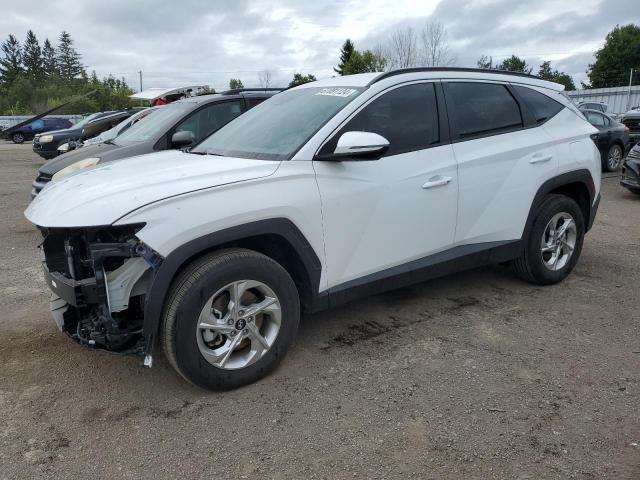 HYUNDAI TUCSON SEL 2024 with VIN KM8JBCDE0RU289064 - Photo from auction