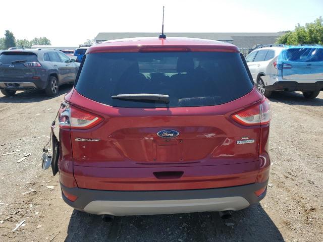 Photo 6 from auction – 2014 FORD ESCAPE SE with VIN 1FMCU0GXXEUD08194