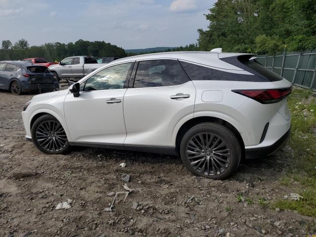 Photo 2 from auction – 2024 LEXUS RX 350H BA with VIN 2T2BBMCA3RC023494