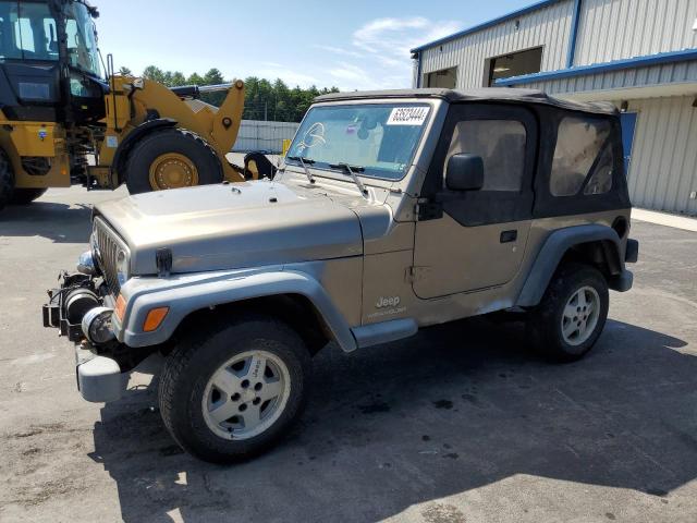 JEEP WRANGLER / 2003 with VIN 1J4FA29183P335057 - Photo from auction