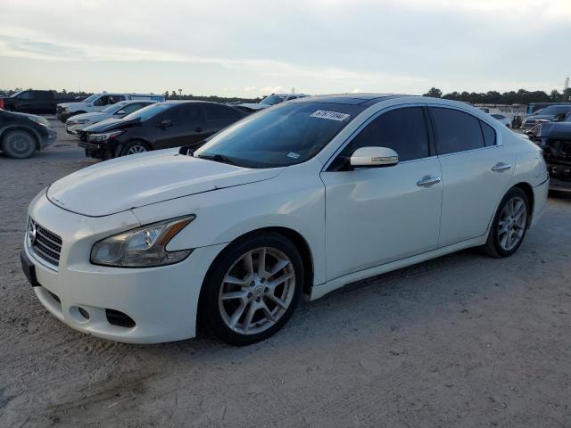 NISSAN MAXIMA S 2011 with VIN 1N4AA5AP0BC814800 - Photo from auction