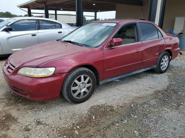 HONDA ACCORD EX 2002 with VIN 1HGCG66822A099346 - Photo from auction