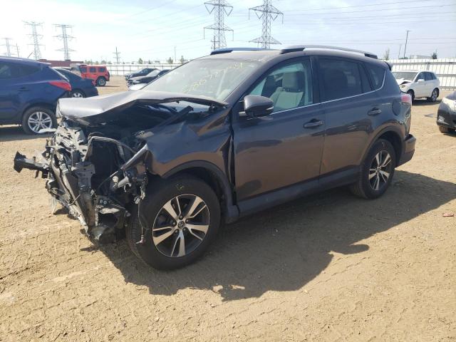 TOYOTA RAV4 XLE 2016 with VIN 2T3RFREV1GW499962 - Photo from auction