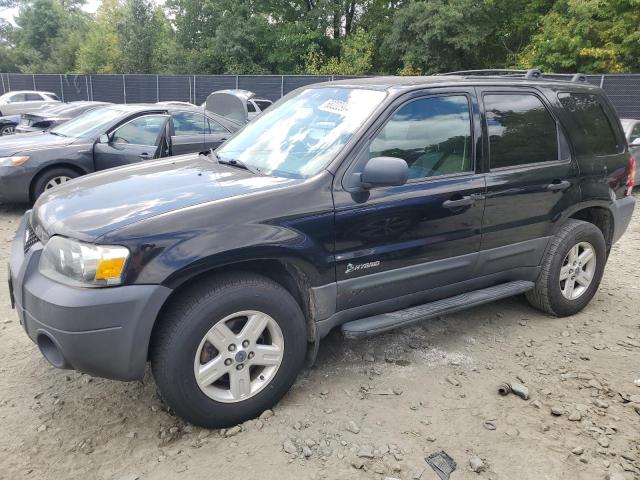 FORD ESCAPE HEV 2006 with VIN 1FMCU95H76KB36462 - Photo from auction