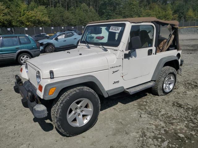 JEEP WRANGLER / 2002 with VIN 1J4FA49S52P765759 - Photo from auction