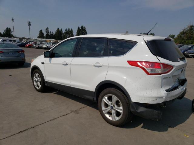 Photo 2 from auction – 2013 FORD ESCAPE SE with VIN 1FMCU9GX3DUA35232