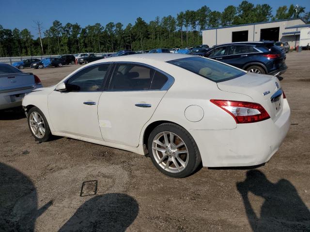 Photo 2 from auction – 2011 NISSAN MAXIMA S with VIN 1N4AA5AP3BC846821