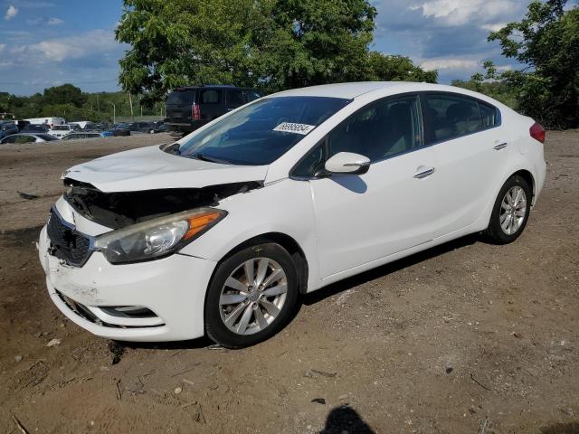 KIA FORTE EX 2014 with VIN KNAFX4A84E5162528 - Photo from auction