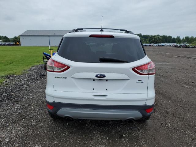 Photo 6 from auction – 2014 FORD ESCAPE SE with VIN 1FMCU9GX1EUA82941