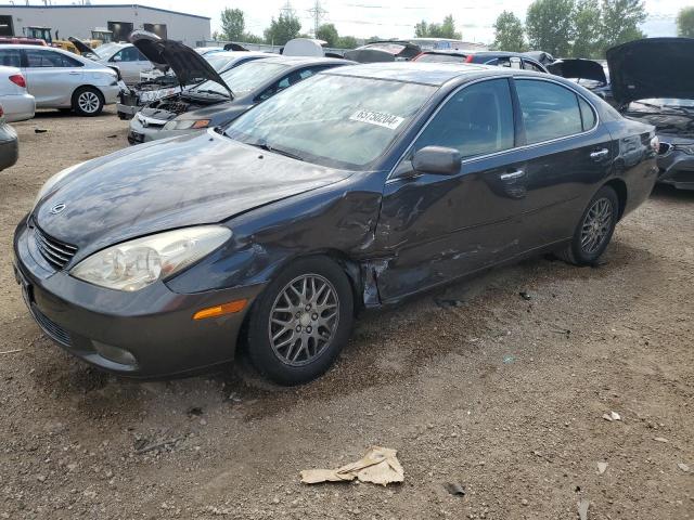 LEXUS ES 330 2004 with VIN JTHBA30G445049004 - Photo from auction