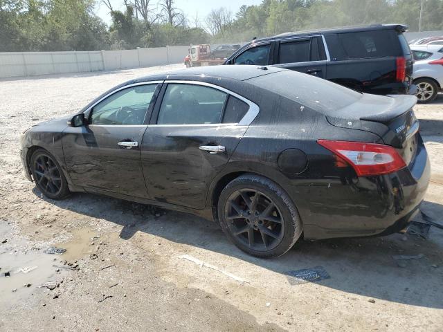 Photo 2 from auction – 2009 NISSAN MAXIMA S with VIN 1N4AA51EX9C833993