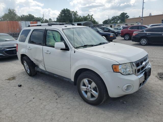 Photo 4 from auction – 2010 FORD ESCAPE LIM with VIN 1FMCU0E79AKB09887