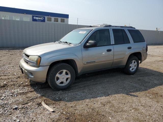 CHEVROLET TRAILBLAZE 2002 with VIN 1GNDT13SX22282819 - Photo from auction