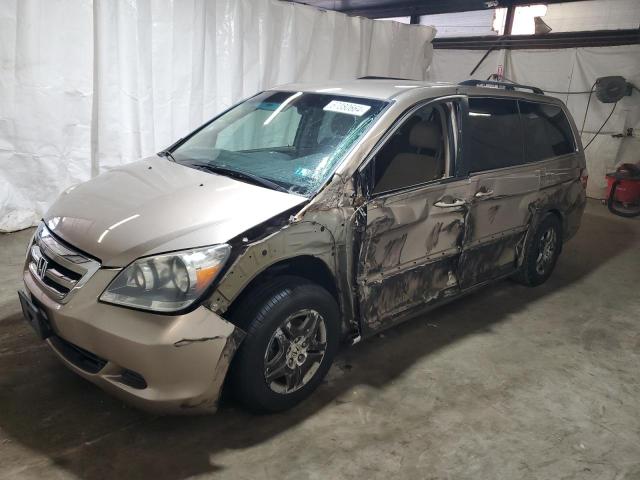 HONDA ODYSSEY EX 2007 with VIN 5FNRL38417B080802 - Photo from auction