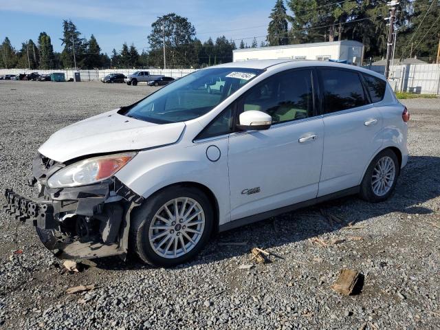 FORD C-MAX PREM 2013 with VIN 1FADP5CU5DL542097 - Photo from auction