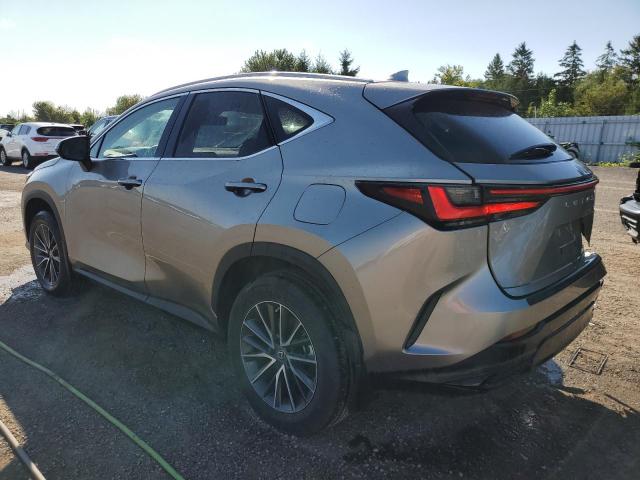 Photo 2 from auction – 2023 LEXUS NX 250 with VIN 2T2ADCEZ2PC003530
