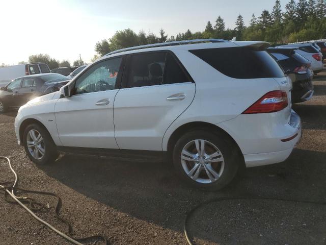 Photo 2 from auction – 2012 MERCEDES-BENZ ML 350 BLU with VIN 4JGDA2EB2CA012679