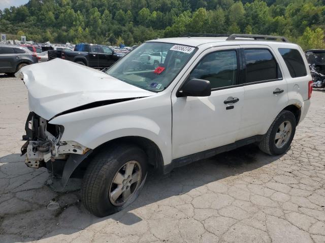 FORD ESCAPE XLT 2010 with VIN 1FMCU9DG8AKD28006 - Photo from auction