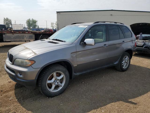 BMW X5 3.0I 2005 with VIN 5UXFA13515LY16675 - Photo from auction