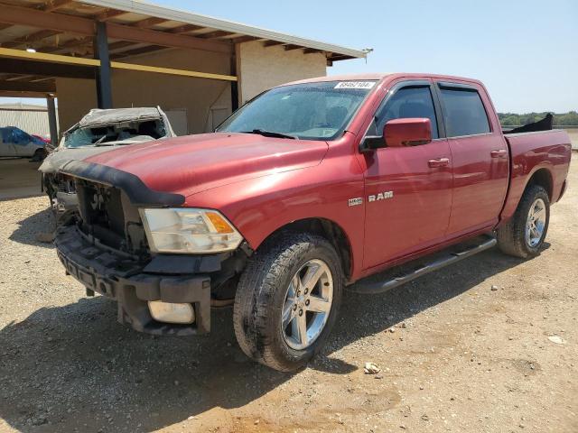 DODGE RAM 1500 2010 with VIN 1D7RV1CT5AS172783 - Photo from auction