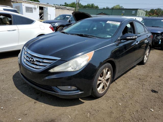 HYUNDAI SONATA SE 2011 with VIN 5NPEC4AB6BH299116 - Photo from auction
