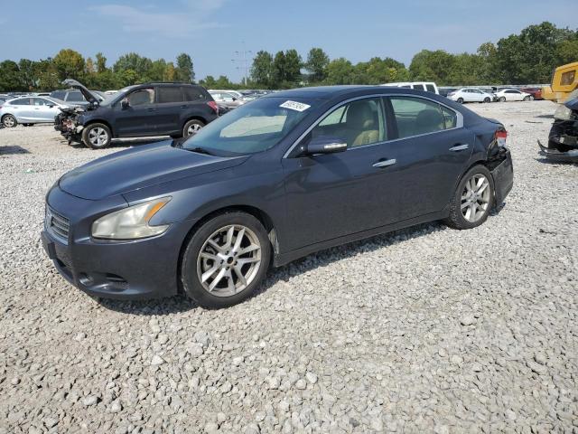 NISSAN MAXIMA S 2009 with VIN 1N4AA51E09C844582 - Photo from auction