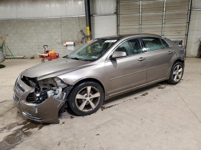 CHEVROLET MALIBU 1LT 2011 with VIN 1G1ZC5EU6BF314087 - Photo from auction