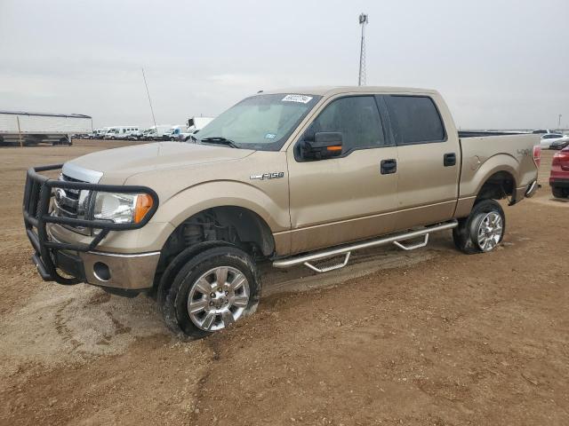 FORD F 150 2011 with VIN 1FTFW1EF8BKD48518 - Photo from auction